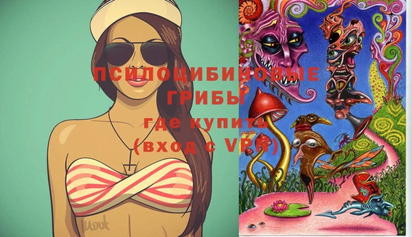 индика Верхнеуральск