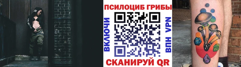 Купить где  Верхоянск  Галлюциногенные грибы Psilocybe 
